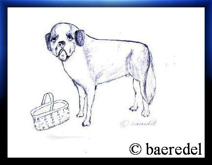 Zeichnung by Baeredel "Seppel" der Bernhardiner-Hund